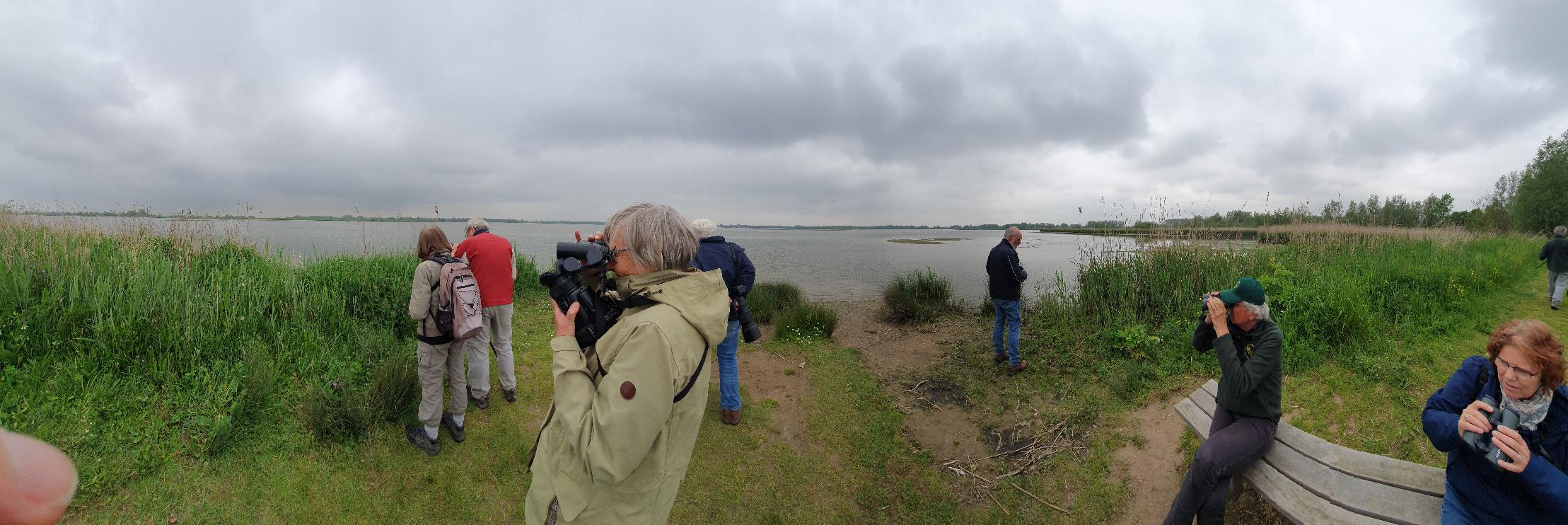 Vogelaars (Biesbosch). Foto van Johan Meijer.
